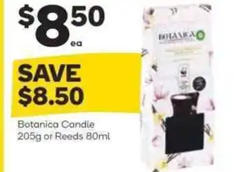 Woolworths Botanica Candle 205g or Reeds 80ml offer
