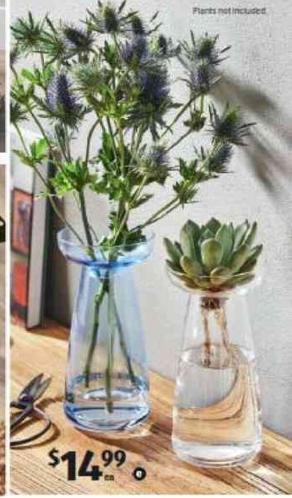 Glass Bulb Vase offer at ALDI