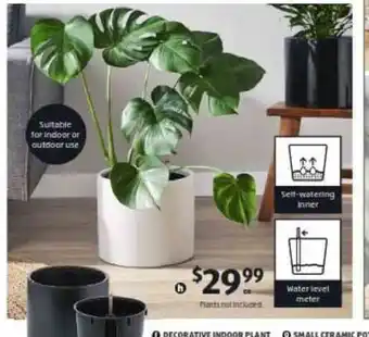 ALDI Large Ceramic Planter offer