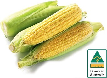 IGA Australian Corn 500g Pack offer