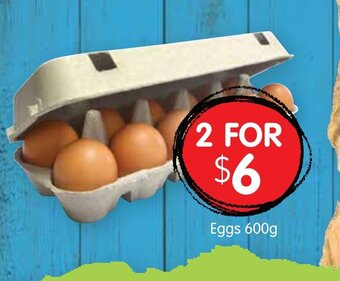Spudshed Eggs 600g offer