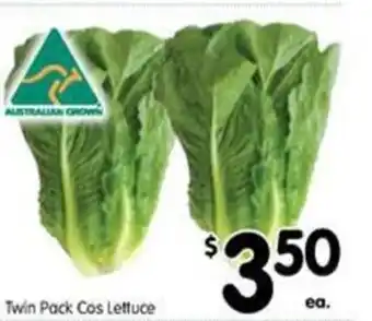 Twin pack cos lettuce