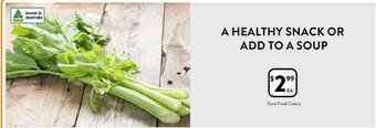 Foodworks Farm fresh celery offer