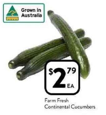 Foodworks Farm fresh continental cucumbers offer
