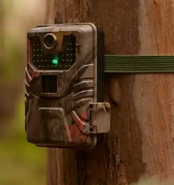 Coles Urbanworx Wildlife Camera offer
