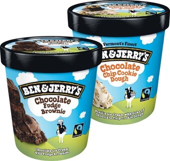 Woolworths Ben & Jerry's Ice Cream 438-­458ml - From the Freezer offer