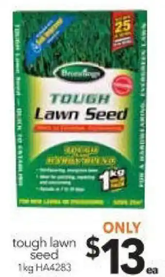 Cheap as Chips Tough Lawn Seed HA4283 offer