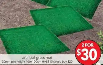 Cheap as Chips Artificial Grass Mat HA8815 offer