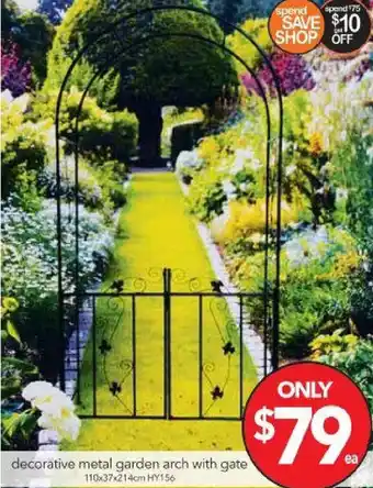 Decorative Metal Garden Arch With Gate HY156