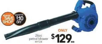 Cheap as Chips Petrol Blower Hy124 offer