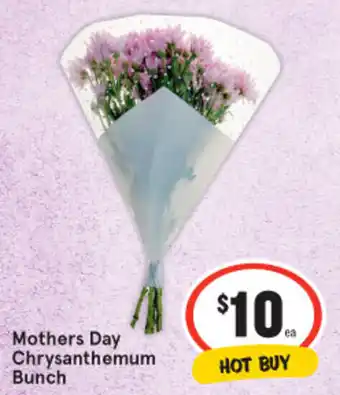 Mothers day chrysanthemum bunch