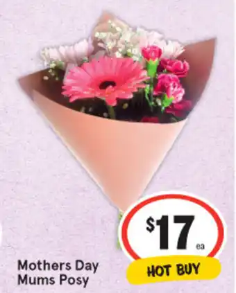 Mothers day mums posy