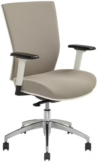 Officeworks Pago Radar III Ergonomic Fabric Chair offer