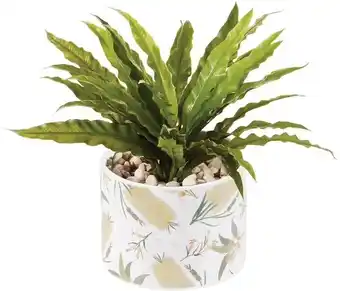 Officeworks Otto Eco Botanica Plant Pot offer
