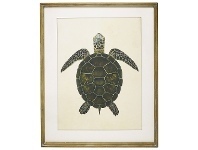 LivingStyles Luisa Framed Turtle Canvas Wall Art, 100cm offer