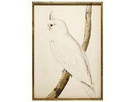 LivingStyles "Cockatoo Left" Framed Canvas Wall Art, 157cm offer