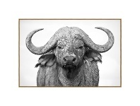 LivingStyles "Muddy Water Buffalo" Framed Canvas Wall Art, 120cm offer