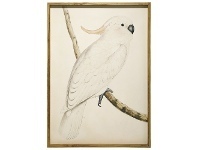 LivingStyles "Cockatoo Right" Framed Canvas Wall Art, 157cm offer