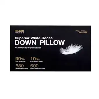 Pillow Talk Superior Hotel & Home 90/10 Goose Down Standard Pillow by Hilton offer