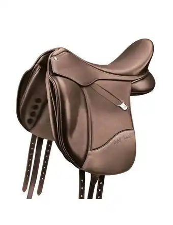 Bates Isabell Saddle With Luxe Leather Adjustable Bar & Cair III