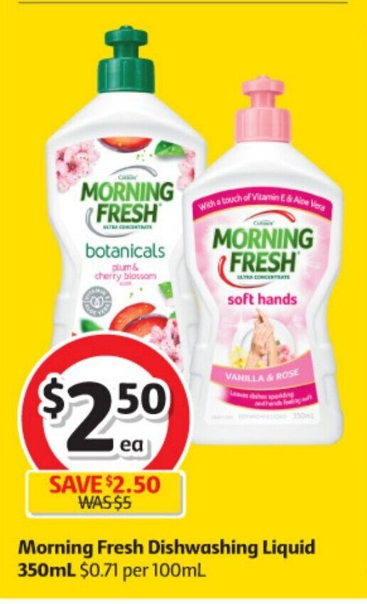 Morning Fresh Dishwashing Liquid 350mL offer at Coles