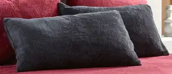 Koo Samantha Teddy Standard Pillowcase 2 Pack