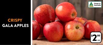 Foodworks Gala Apples Per Kg offer