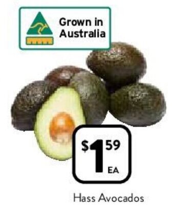 Foodworks Hass Avocados offer