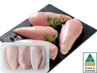 Australian Fresh Chicken Breast Fillets
