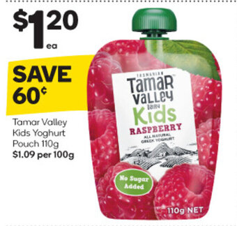 Woolworths Tamar Valley Kids Yoghurt Pouch 110g offer