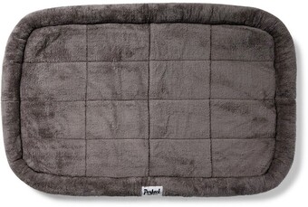 BIG W Perfect Pet Flat Bolstered Mat offer