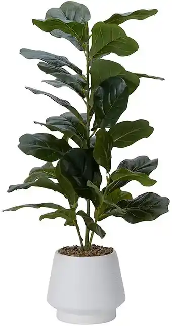 Kmart Artificial Fiddle Leaf in Pot offer
