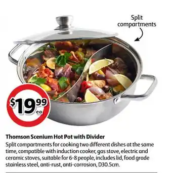Coles Thomson Scenium Hot Pot With Divider offer