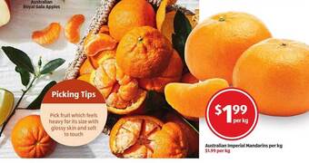 ALDI Australian Imperial Mandarins offer