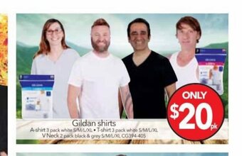 Cheap as Chips Gildan shirts offer