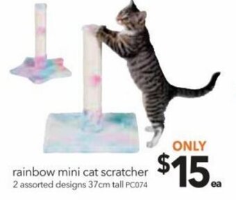Cheap as Chips Rainbow mini cat scratcher 37cm offer