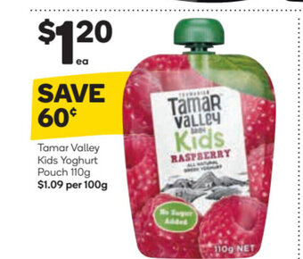 Woolworths Tamar Valley Kids Yoghurt Pouch 110g offer