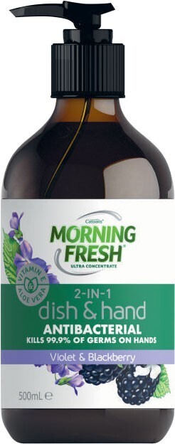 Morning Fresh 2-in-1 Dish & Hand 500mL