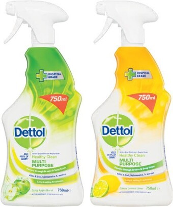 Coles Dettol Multipurpose Cleaner 750mL offer