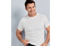 Bonds Original Raglan Tee
