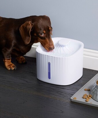 Coles Smart Water Fountain offer