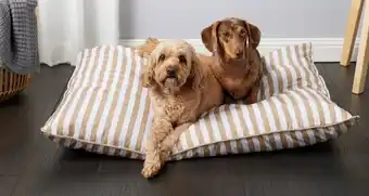 Coles Tail & Paws Stripe Pet Cushion offer