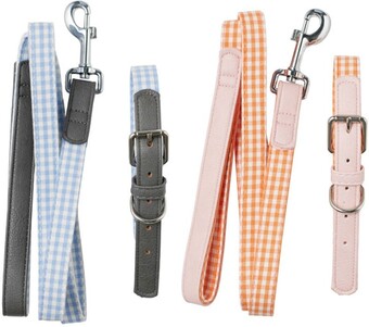 Lux and Bones Lead and Collar Set