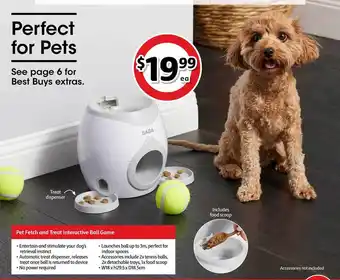 Coles Pet Fetch And Treat Interactive Ball Game offer