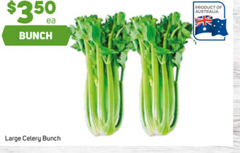 Foodland Large Celery Bunch offer