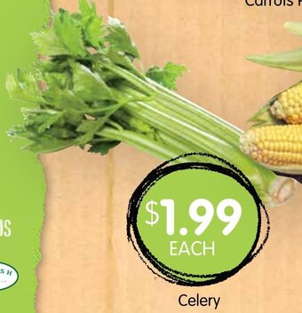 Spudshed Celery offer