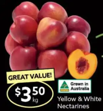 Yellow & White Nectarines