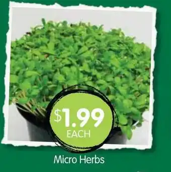 Spudshed Micro Herbs offer