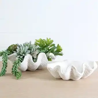Clam Shell Bowls by M.U.S.E.