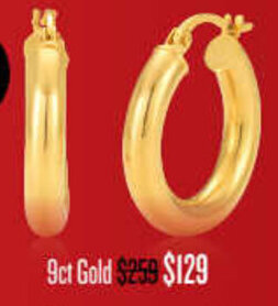 Shiels 9ct Gold offer